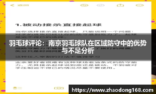 羽毛球评论：南京羽毛球队在区域防守中的优势与不足分析