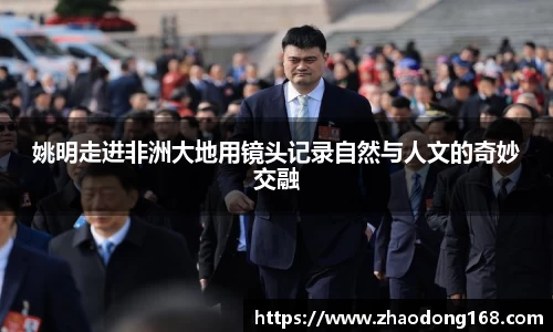 必一·运动(B-Sports)官方网站